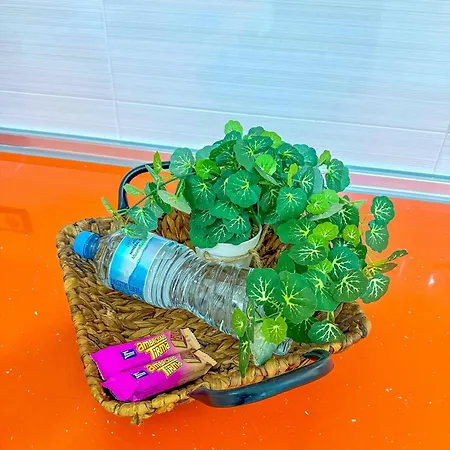 De Va Canteras ラスパルマス・デ・グランカナリア