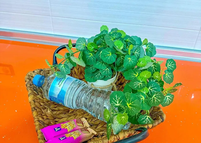 De Va Canteras Las Palmas de Gran Canaria